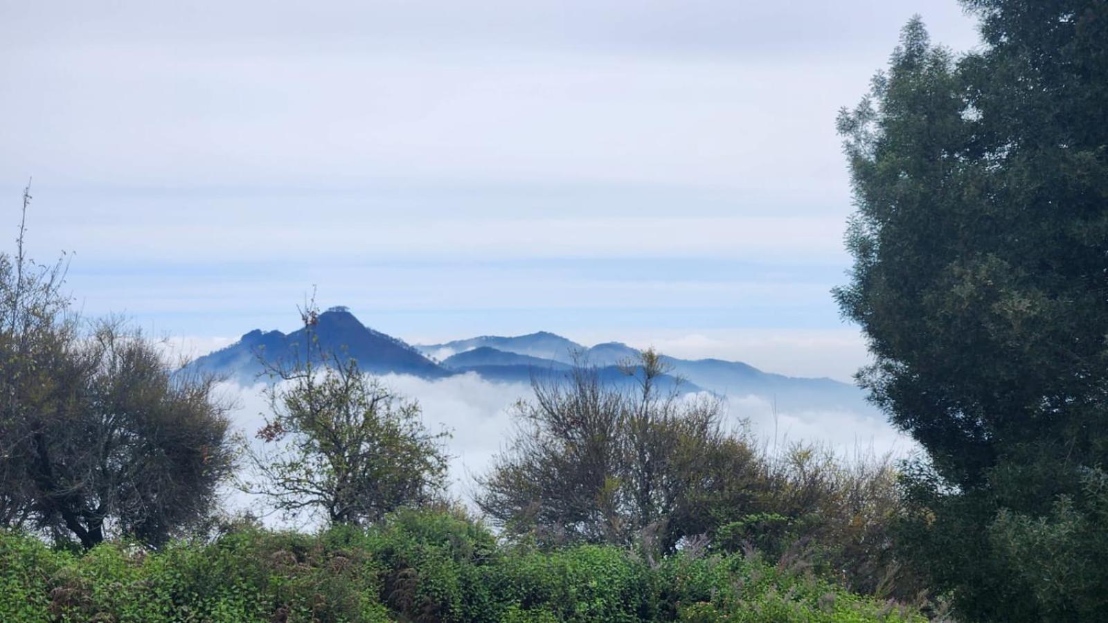 Fabhotel Tranquil Heights Kodaikanal Εξωτερικό φωτογραφία